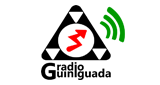 Radio Guiniguada